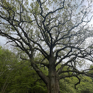 Meet your Posher, Hayden